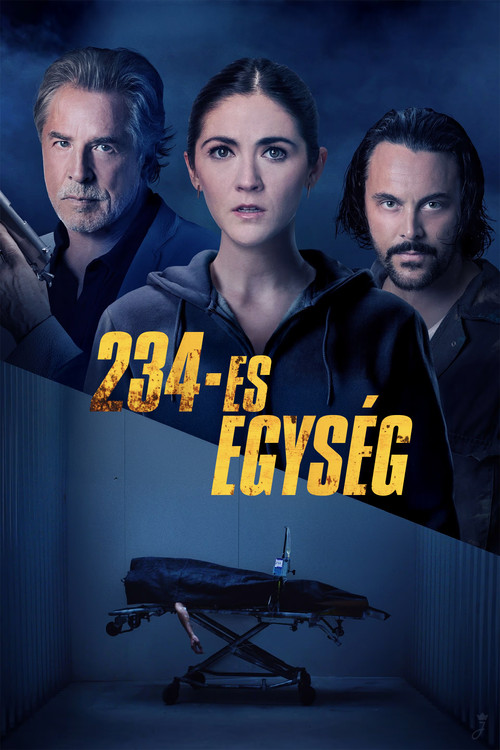 234-es egység (2024) poszter
