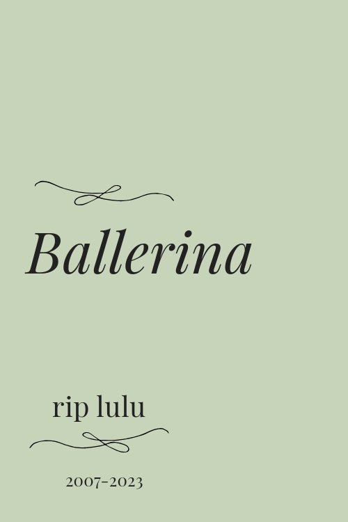 A balerina (2023) poszter