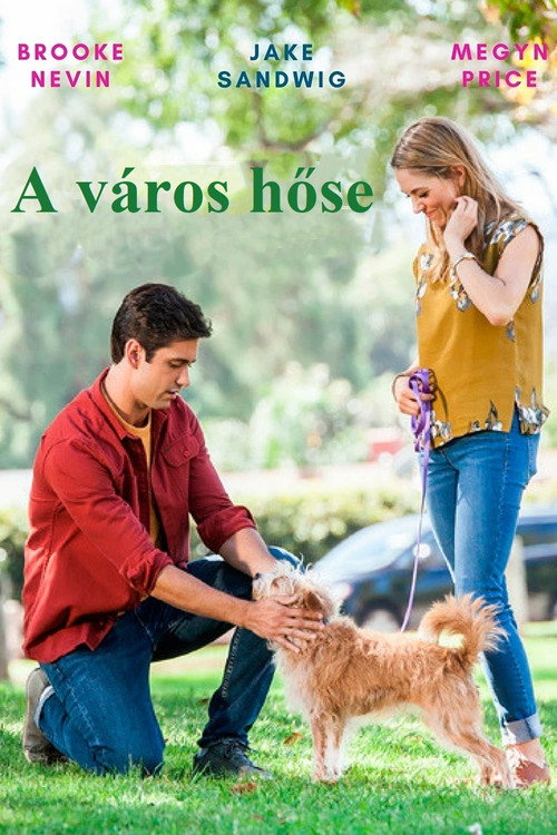 A város hőse (2017) poszter