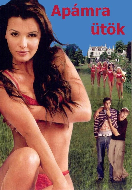 Apámra ütök (2004) poszter
