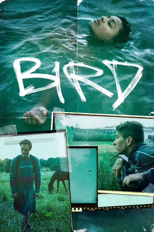Bird (2024) poszter
