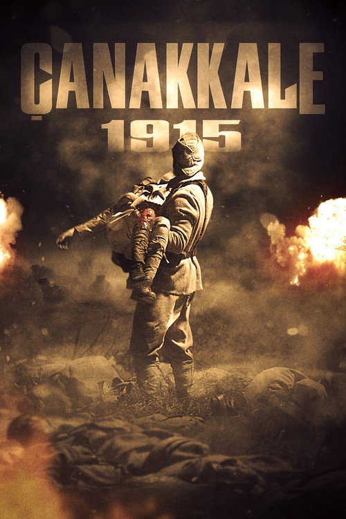 Çanakkale 1915 (2012) poszter