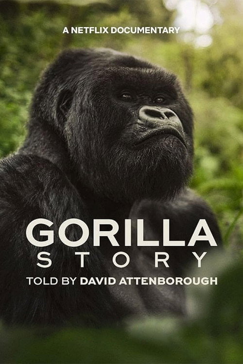 David Attenborough: Gorillák között (2026) poszter
