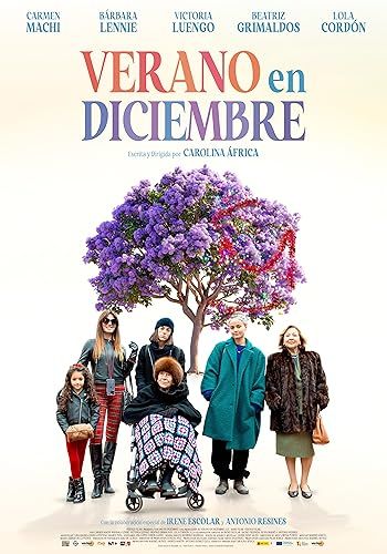 Decemberi nyár (2024) poszter
