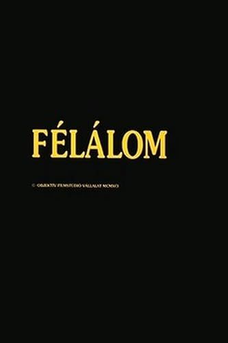 Félálom (1991) poszter