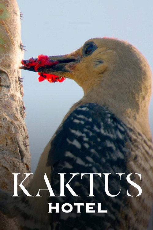 Kaktusz Hotel (2023) poszter