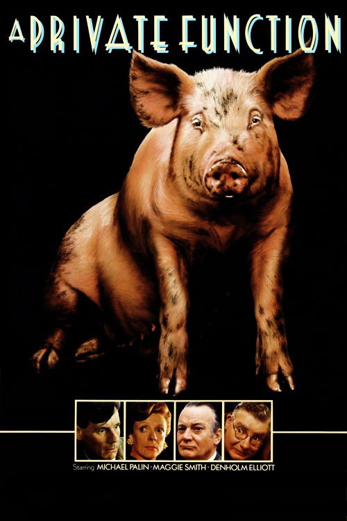 Magánpraxis (1984) poszter