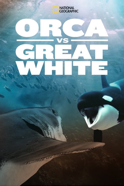 Orca (2021) poszter