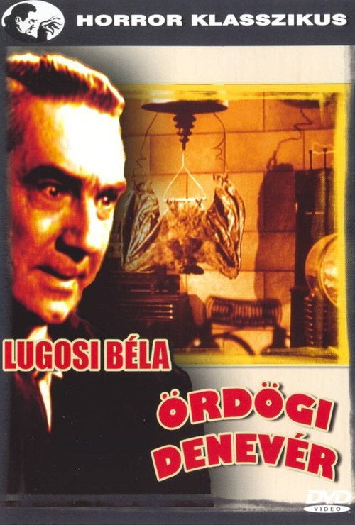 Ördögi denevér (1940) poszter