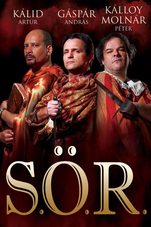 S.Ö.R. (2012) poszter