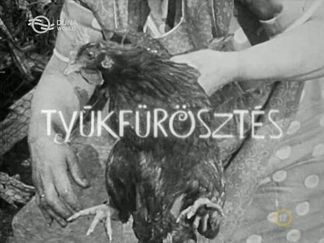 Tyúkfürösztés (1971) poszter