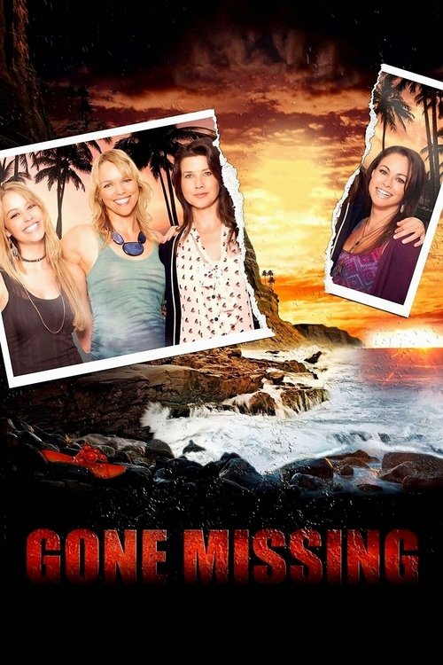 Vanished (2013) poszter