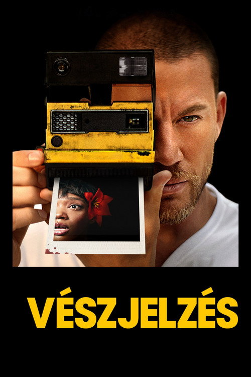 Vészjelzés (2024) poszter
