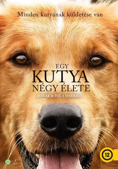 Egy kutya négy élete plakát