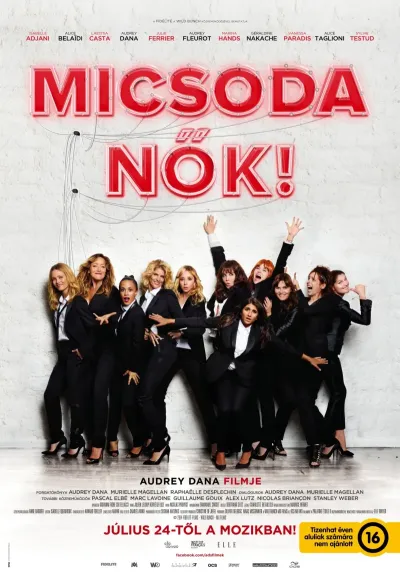 Micsoda nők! plakát