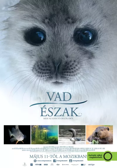 Vad Észak - Mese az ezer tó országából plakát