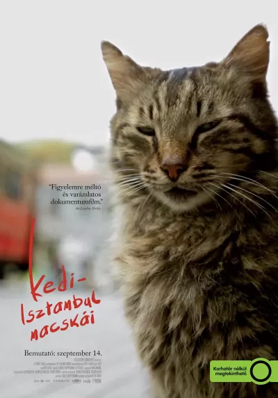 Kedi – Isztambul macskái plakát