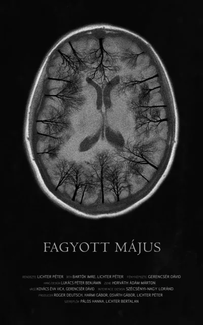 Fagyott május plakát
