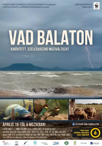 Vad Balaton - Kibővített moziváltozat plakát