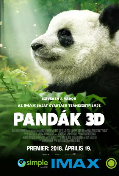 Pandák plakát