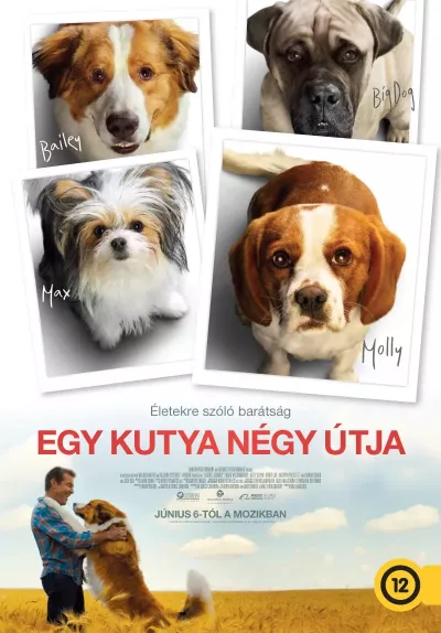 Egy kutya négy útja plakát