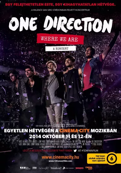 One Direction: Where We Are - A KONCERT plakát