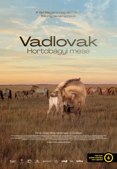 Vadlovak - Hortobágyi mese plakát