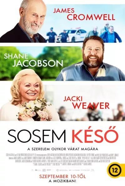 Sosem késő plakát