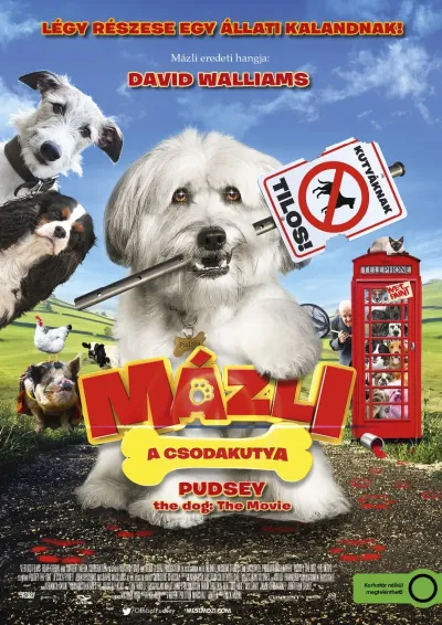 Mázli a csodakutya plakát
