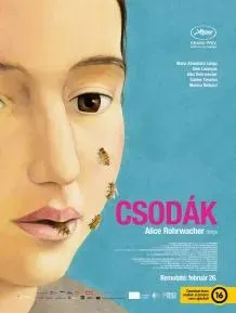 Csodák plakát