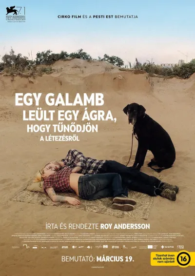 Egy galamb leült egy ágra, hogy tűnődjön a létezésről plakát