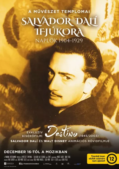 A művészet templomai: Salvador Dalí ifjúkora plakát