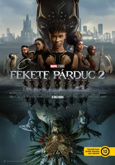Fekete Párduc 2. plakát