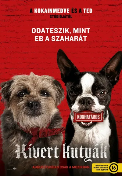 Kivert kutyák plakát