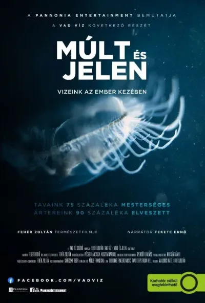 Múlt és jelen - Vizeink az ember kezében plakát