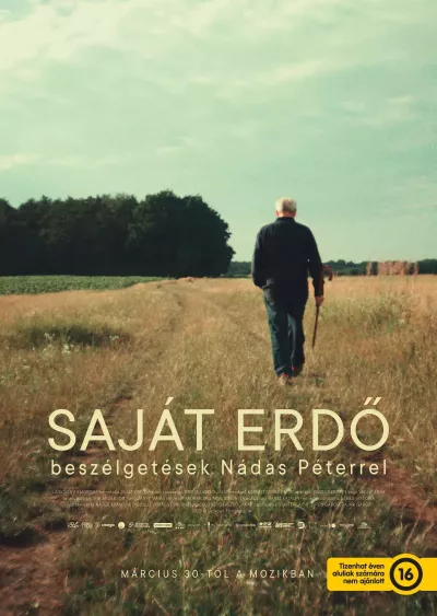 Saját erdő plakát