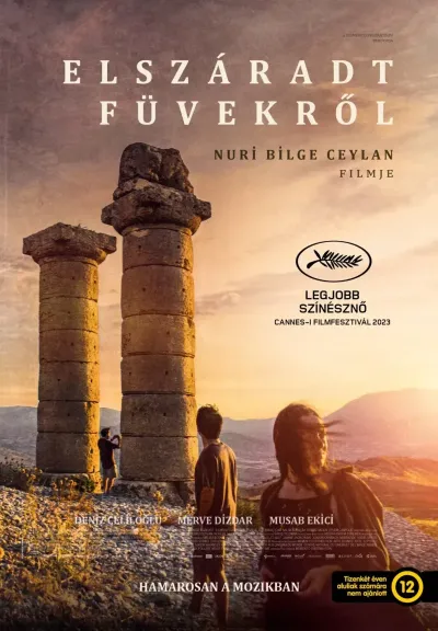 Elszáradt füvekről plakát