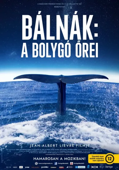 Bálnák, a bolygó őrei plakát