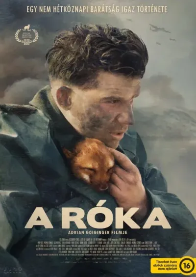 A róka plakát