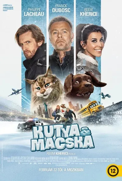 Kutya és macska plakát