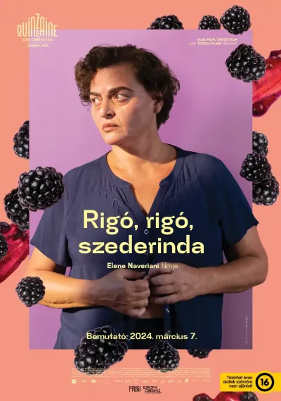 Rigó, rigó, szederinda plakát