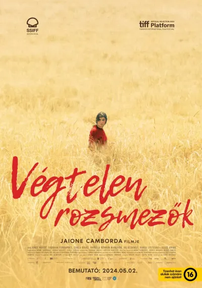 Végtelen rozsmezők plakát