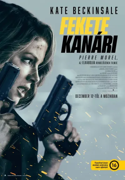 Fekete kanári plakát