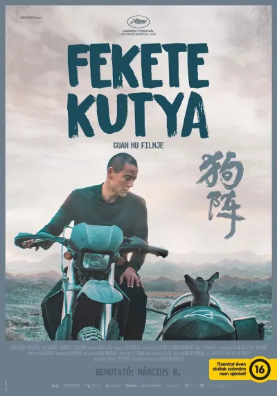 Fekete kutya plakát