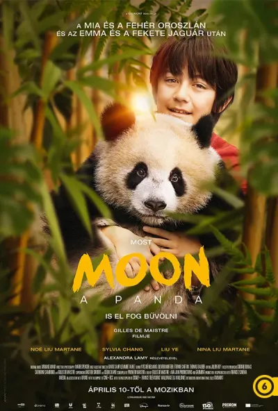 Moon, a panda plakát