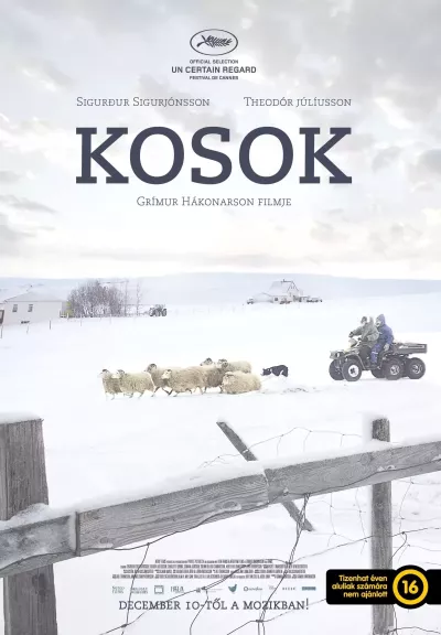 Kosok plakát