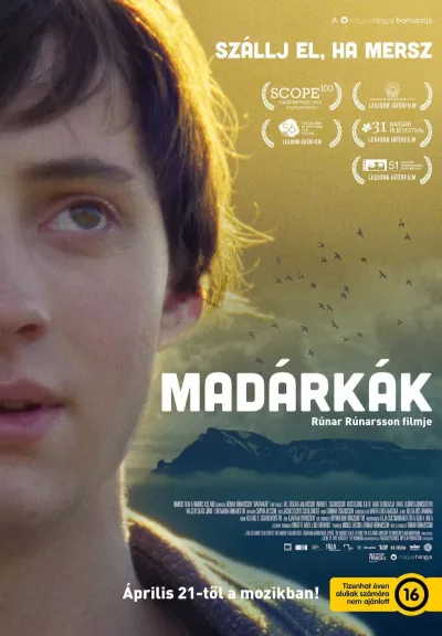 Madárkák plakát
