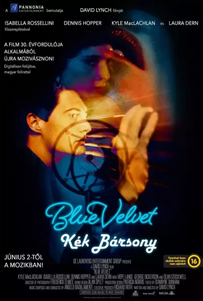 Kék bársony plakát