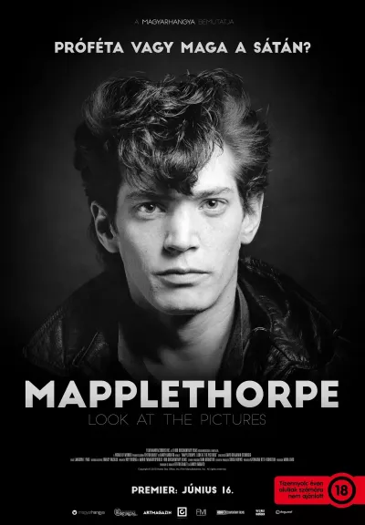 Mapplethorpe: a fényművész plakát