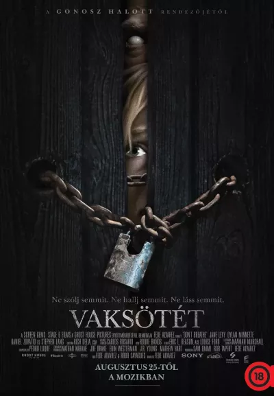 Vaksötét plakát